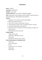 Prakses atskaite 'Kvalifikācijas prakses atskaite pirmsskolā', 28.