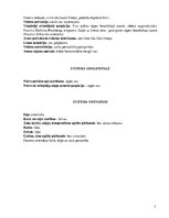 Paraugs 'Pacienta slimības vēsture', 7.