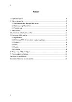 Referāts 'Mārketinga plāns', 2.