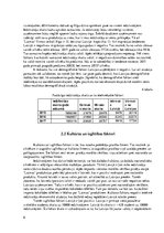 Referāts 'Mārketinga plāns', 6.