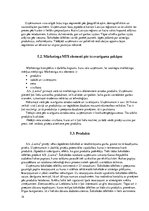 Referāts 'Mārketinga plāns', 14.