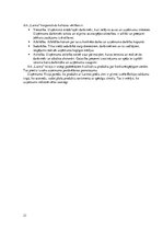 Referāts 'Mārketinga plāns', 21.