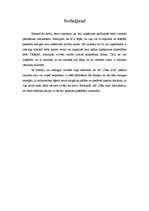 Referāts 'AS "Cēsu alus" virzība tirgū', 8.