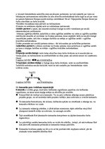 Konspekts 'Personālavadības eksāmena jautājumi un atbildes', 10.