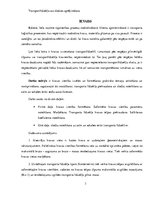 Paraugs 'Transporta ass slodzes aprēķins', 3.