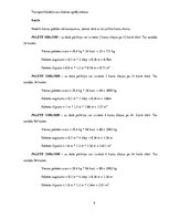 Paraugs 'Transporta ass slodzes aprēķins', 9.