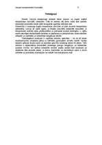 Referāts 'Etnopolitika Latvijā', 9.