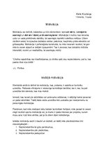 Konspekts 'Motivācijas teorija - iekšējā motivācija', 1.