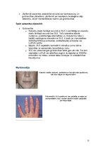 Konspekts 'Sistēmas sarkanā vilkēde', 15.