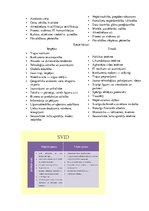 Konspekts 'Konspekts vadībzinībās', 10.