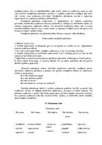 Konspekts 'Konspekts vadībzinībās', 12.