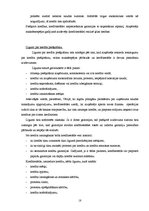 Referāts 'Kredīta būtība, tā veidi un saņemšanas iespējas Latvijā', 18.