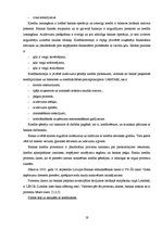 Referāts 'Kredīta būtība, tā veidi un saņemšanas iespējas Latvijā', 19.