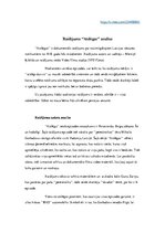 Konspekts 'Raidījuma "Atslēgas" sestās epizodes analīze no producenta skatu punkta', 1.