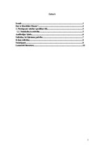 Referāts 'Identitātes likums', 1.