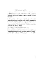 Referāts 'Identitātes likums', 3.