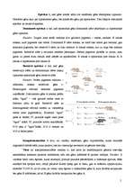 Referāts 'Starplokusu mijiedarbības veidi', 2.