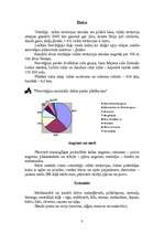 Referāts 'Norvēģija', 8.