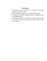 Referāts 'Sabiedrisko attiecību kampaņa', 7.