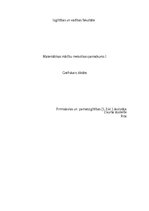 Paraugs 'Grafiskais diktāts', 1.