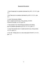 Referāts 'Latvijas valsts prezidenti', 16.