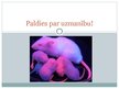 Prezentācija 'Peles oocīta un agrā embrija genoma plasticitāte', 9.