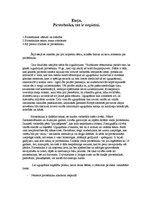 Eseja 'Pirotehnika, tas ir nopietni', 1.