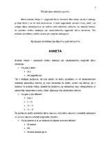 Referāts 'Projekts firmas organizēšanai', 3.