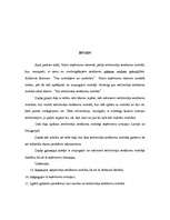 Prakses atskaite 'Iedzīvotāju ienākuma nodoklis', 3.