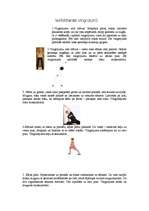 Konspekts 'Iesildīšanās vingrinājumi sportā', 1.