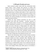 Referāts 'Kārļa Ulmaņa apvērsums', 4.