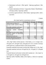 Konspekts 'SIA "Vega" kapitāla analīze un attīstība', 8.