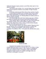 Referāts 'Aksels Munte', 3.