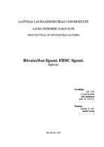 Referāts 'Būvniecības līgumi. FIDIC līgumi', 1.