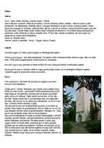 Konspekts 'Abavas senleja', 3.