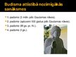 Prezentācija 'Budisms', 8.