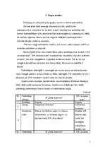 Biznesa plāns 'Biznesa plāns', 5.