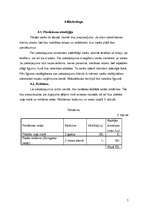 Biznesa plāns 'Biznesa plāns', 7.