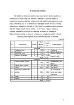 Biznesa plāns 'Biznesa plāns', 8.