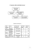 Biznesa plāns 'Biznesa plāns', 9.