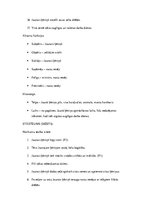 Konspekts 'Kārļa Skalbes pasakas "Ķēniņa svārki" naratoloģiska analīze', 2.