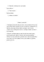 Konspekts 'Kārļa Skalbes pasakas "Ķēniņa svārki" naratoloģiska analīze', 5.