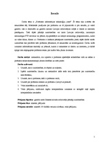 Referāts 'Pirātisms informācijas tehnoloģiju jomā', 5.