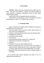 Referāts 'Pirātisms informācijas tehnoloģiju jomā', 6.