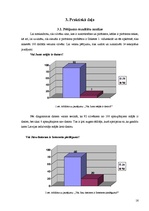 Referāts 'Pirātisms informācijas tehnoloģiju jomā', 16.