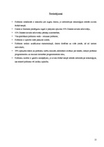 Referāts 'Pirātisms informācijas tehnoloģiju jomā', 25.