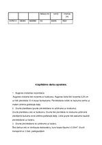 Konspekts 'Būvdarbu tehnoloģija', 20.