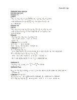 Paraugs 'Epīru konstruēšana daudzlaidumu sijai', 2.