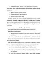 Referāts 'Uzņēmuma finansēšanas avoti', 12.