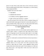 Referāts 'Uzņēmuma finansēšanas avoti', 18.